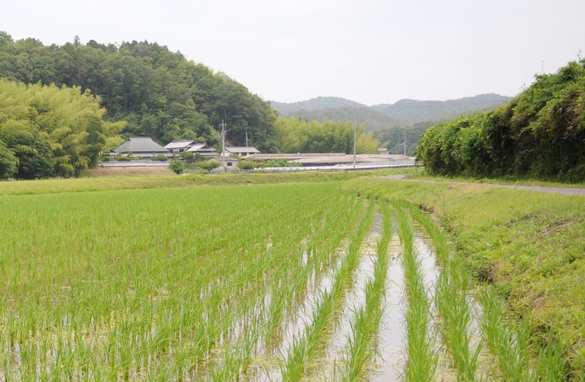 利守酒造(岡山県赤磐市)